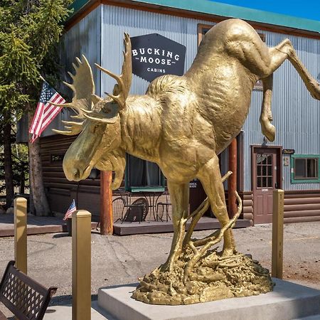 The Bucking Moose Hotel West Yellowstone Kültér fotó